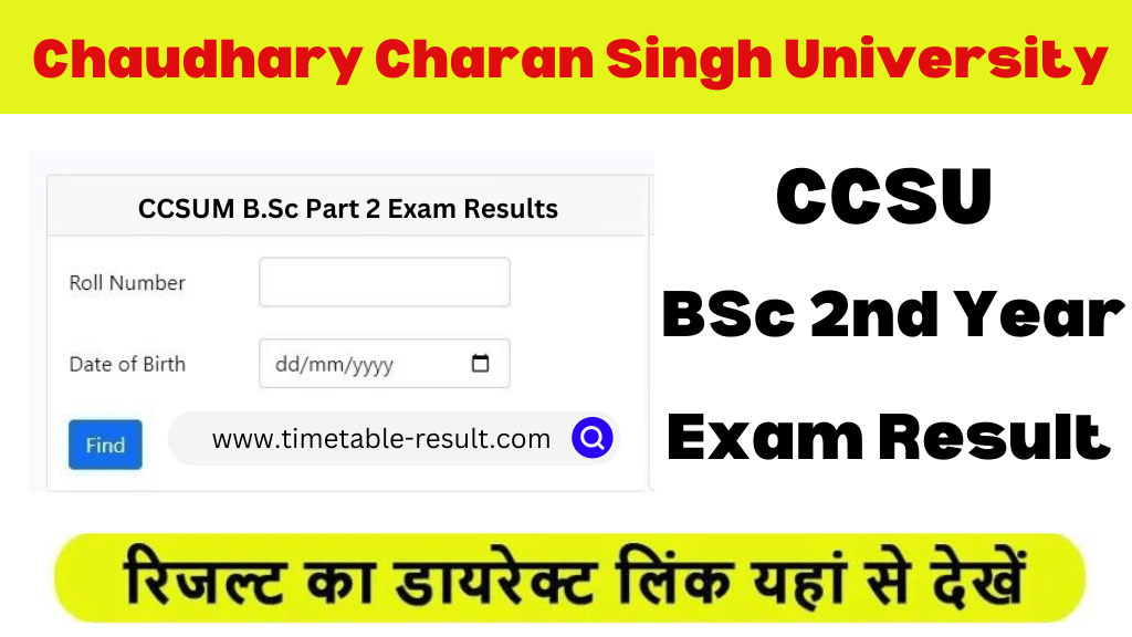 ccsu bsc 2nd year result